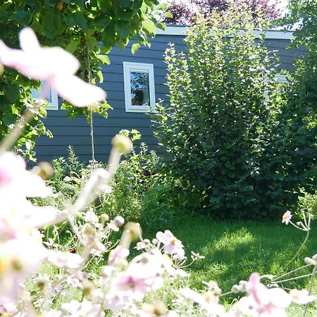 Tiny Kelze Holiday home *