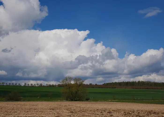 Tiny Kelze 度假居